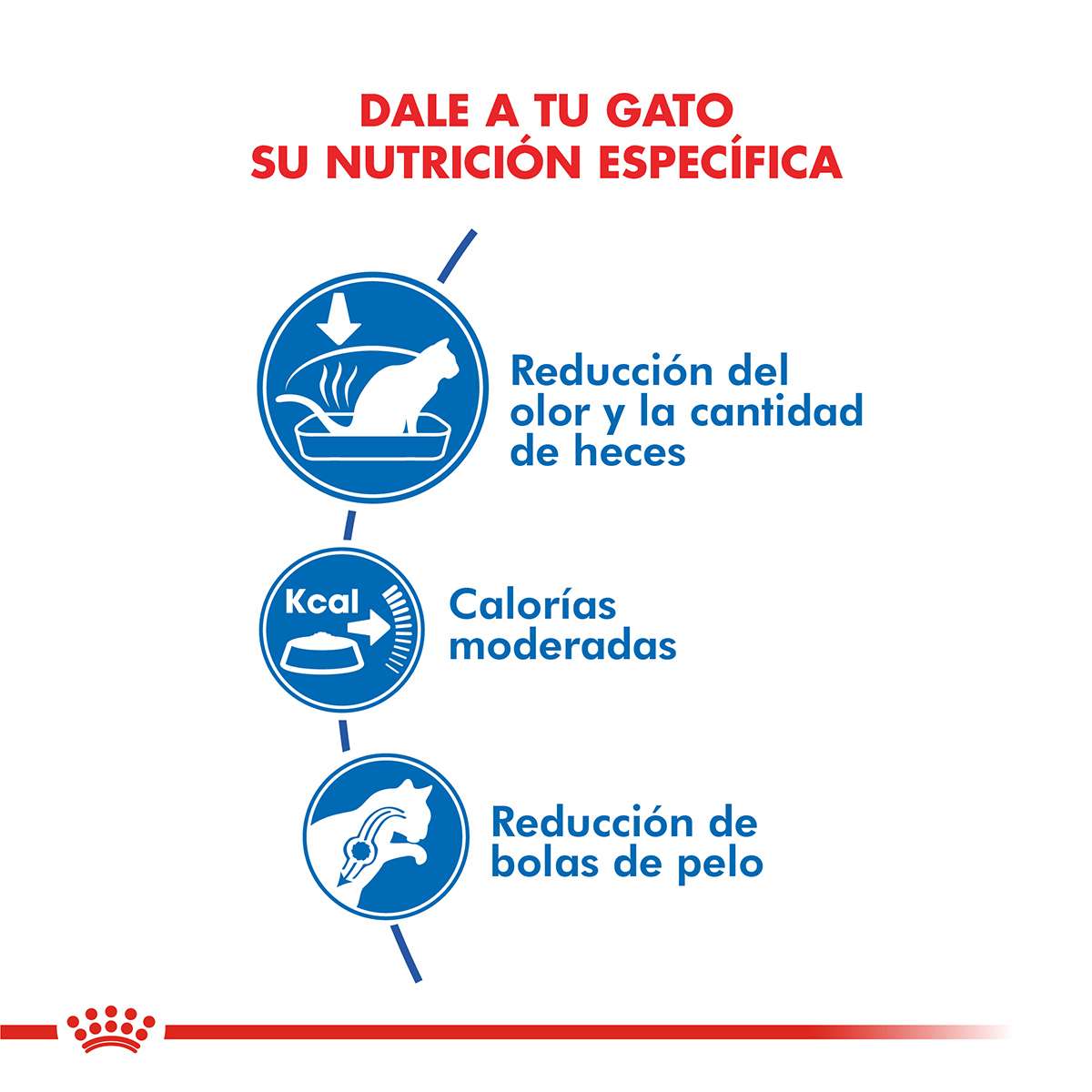 Royal Canin Indoor Alimento Seco para Gato | 1,5 y 7,5 kg