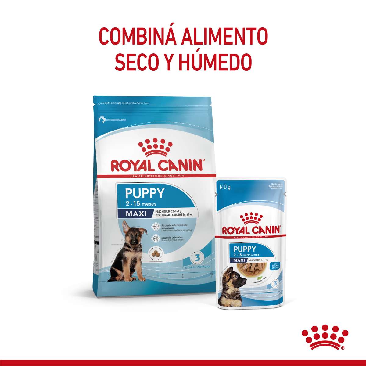 Royal Canin Maxi Puppy Alimento Seco para Perro | 3 y 15 kg