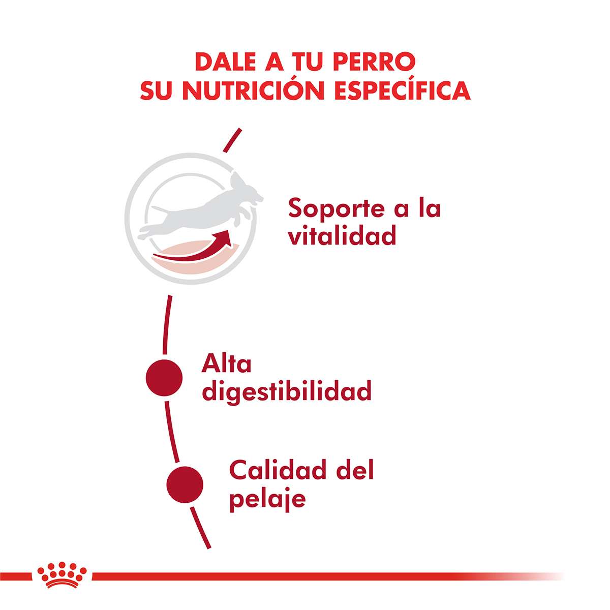 Royal Canin Medium Adulto Alimento Seco para Perro | 3 | 7,5 y 15 kg