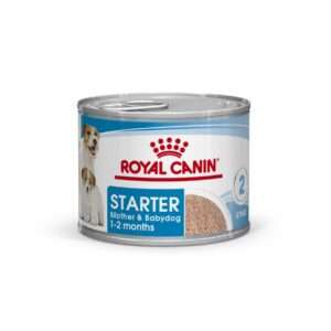 Royal Canin Starter Mother & Babydog Alimento Húmedo para Perro | 195 gr
