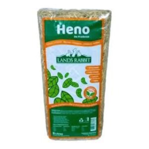 Heno en Pasto Alimento para Roedores