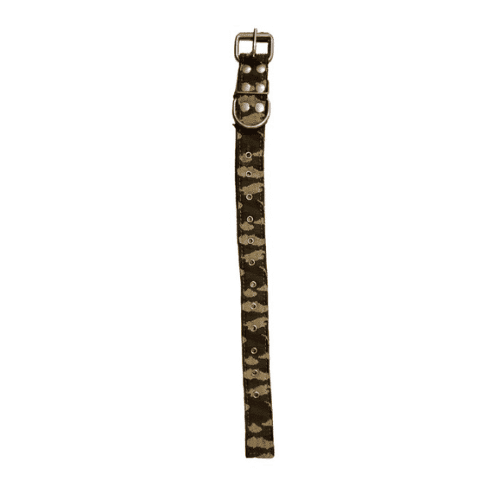 Black dog Collar Camuflado Doble | XS al L