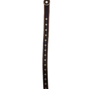 Black Dog Collar Reflex | Nº 1 al Nº 8