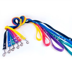 Correa Simple | Nº 1 al Nº 4