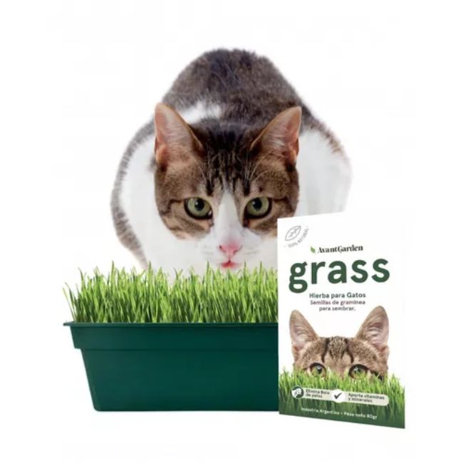 Sobre Hierba Gatera Grass | 80 gr - Imagen 2
