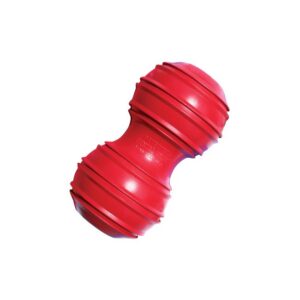 Kong Dental Juguete para la Limpieza Dental | L y XL