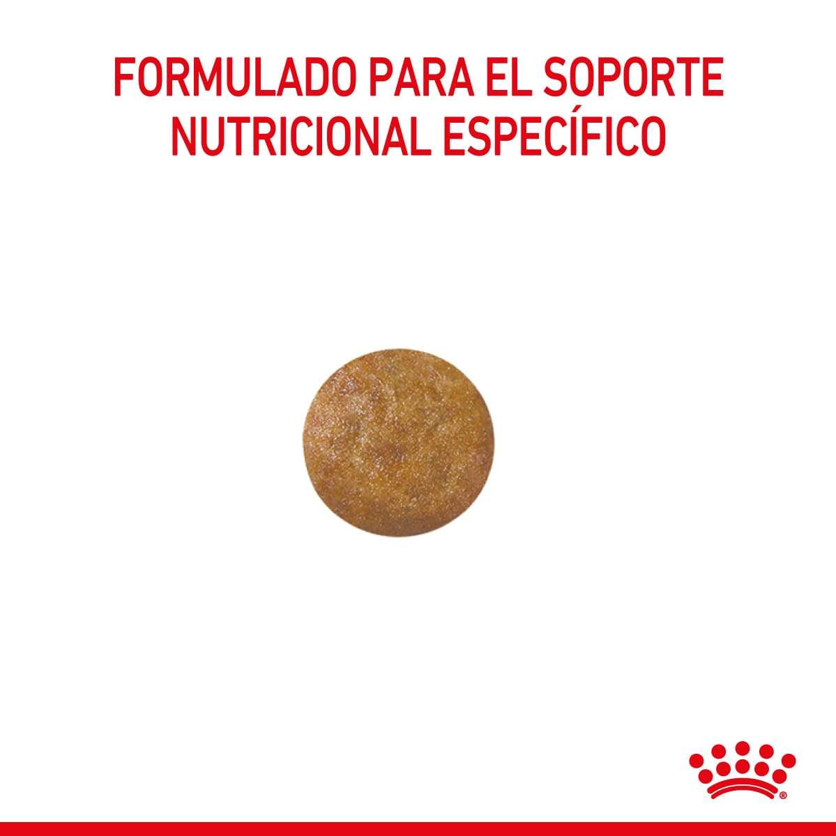 Royal Canin Hypoallergenic Puppy Dog Alimento Seco para Perro Cachorro